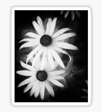 Daisy Pinhole Sticker