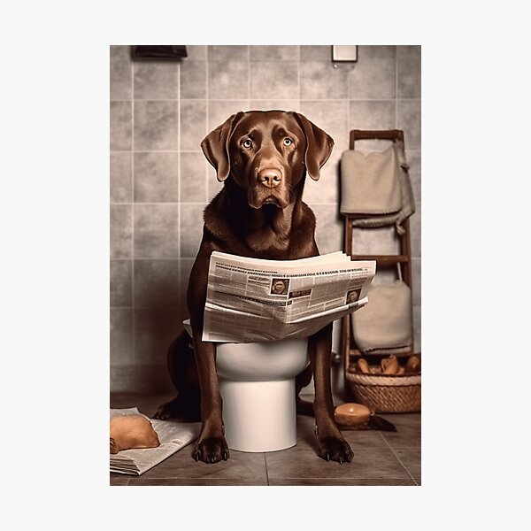 Item preview, Labrador sitting on the toilet and reading the newspaper, funny dog ​​picture, gift for dog owners, Funny Animal Picture designed and sold by Specialanimal.