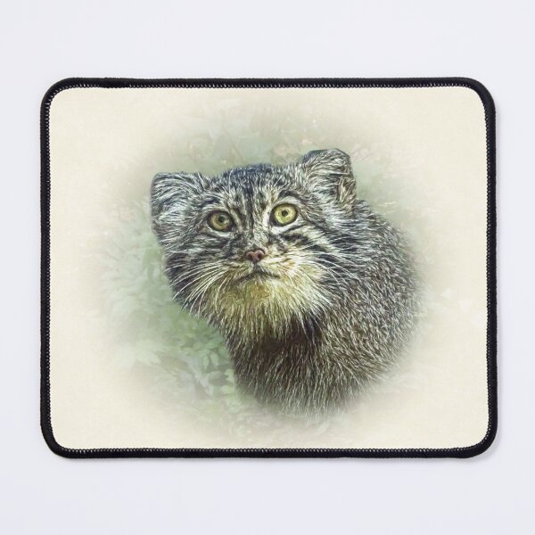 Item preview, Pallas's cat-manul designed and sold by Guardi71.