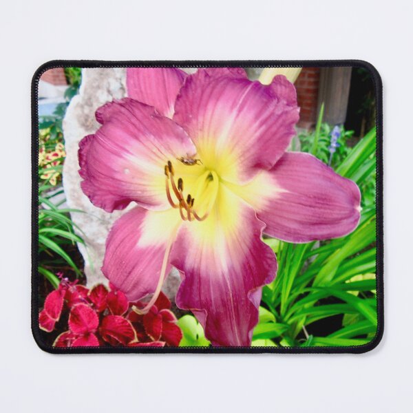 Item preview, Beautiful Lily designed and sold by Shulie1.