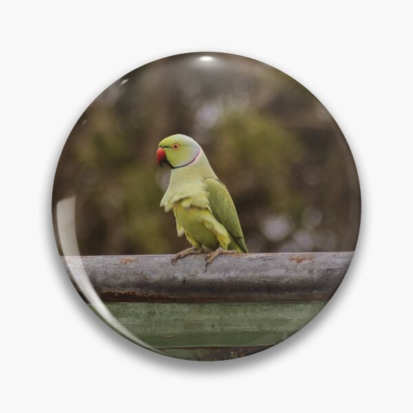 Item preview, parrot by any other name designed and sold by KAY Artists.