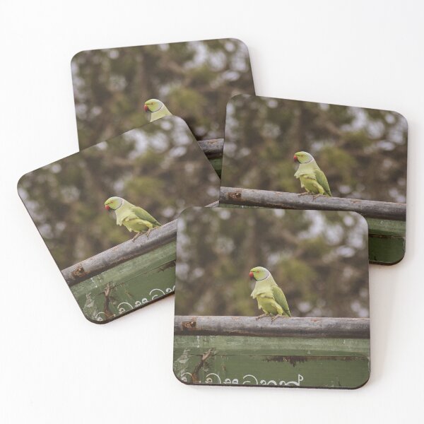 Item preview, parrot by any other name designed and sold by KAY Artists.