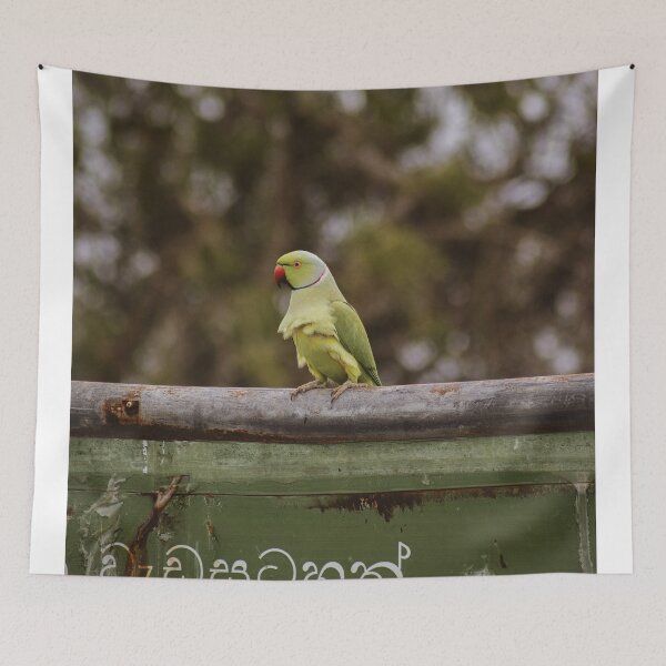 Item preview, parrot by any other name designed and sold by KAY Artists.