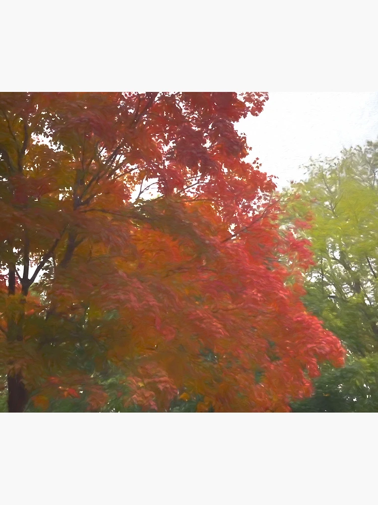 Thumbnail 5 of 5, Mouse Pad, Maple Tree In October designed and sold by bloomingvine.