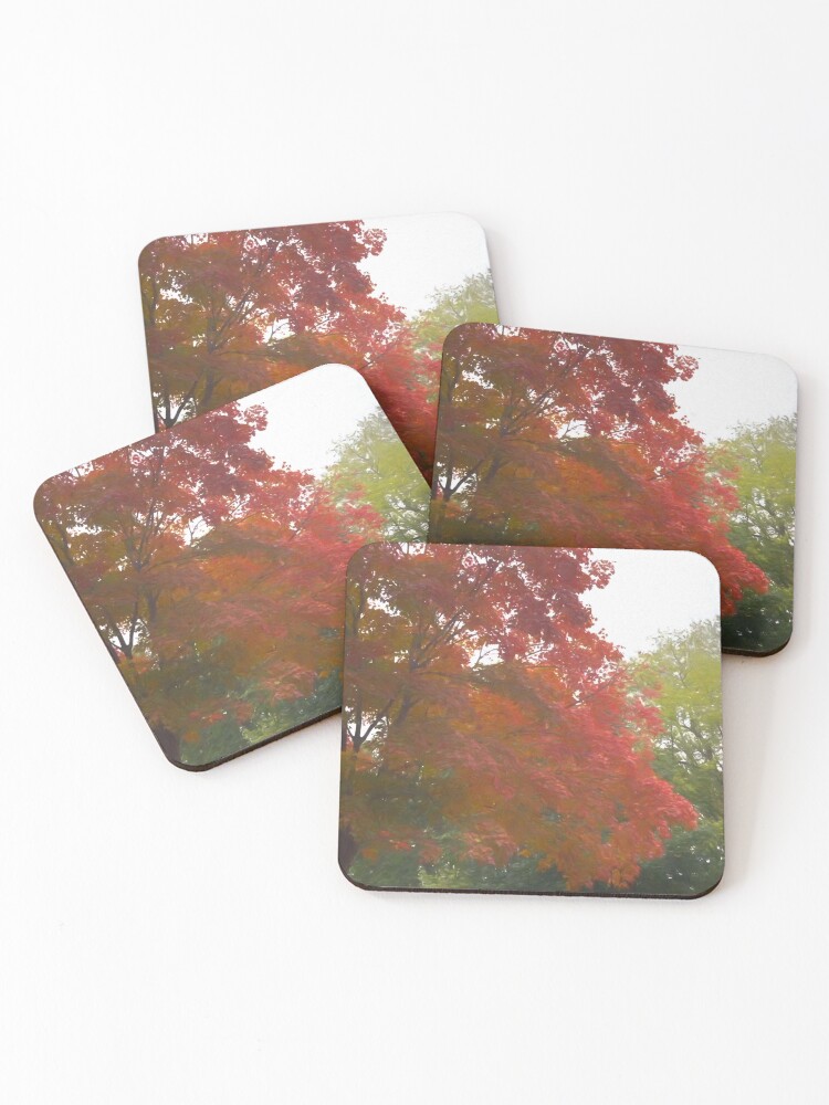Thumbnail 1 of 5, Coasters (Set of 4), Maple Tree In October designed and sold by bloomingvine.