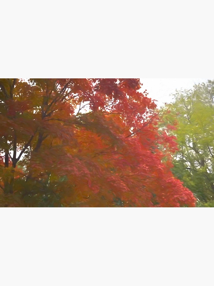 Thumbnail 4 of 4, Coffee Mug, Maple Tree In October designed and sold by bloomingvine.