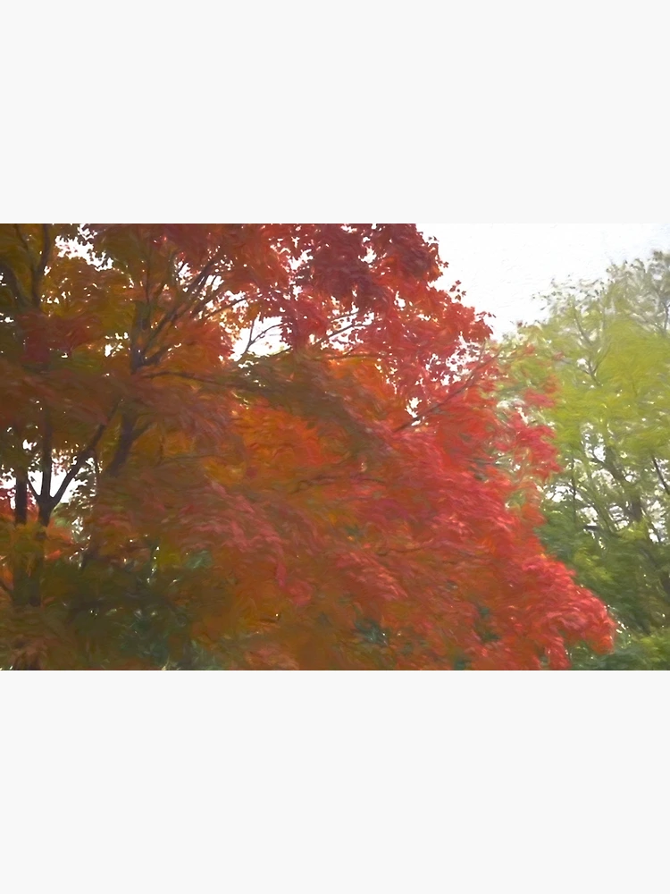 Thumbnail 6 of 6, Bath Mat, Maple Tree In October designed and sold by bloomingvine.