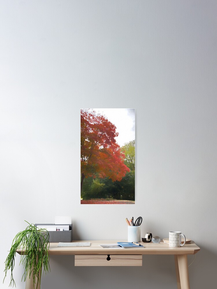 Thumbnail 2 of 3, Poster, Maple Tree In October designed and sold by bloomingvine.