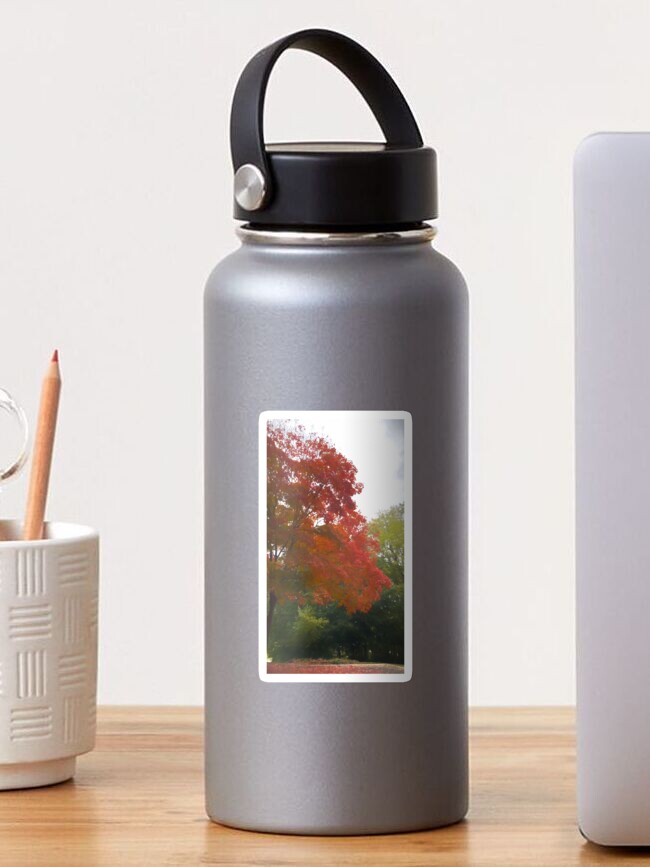 Thumbnail 1 of 3, Sticker, Maple Tree In October designed and sold by bloomingvine.