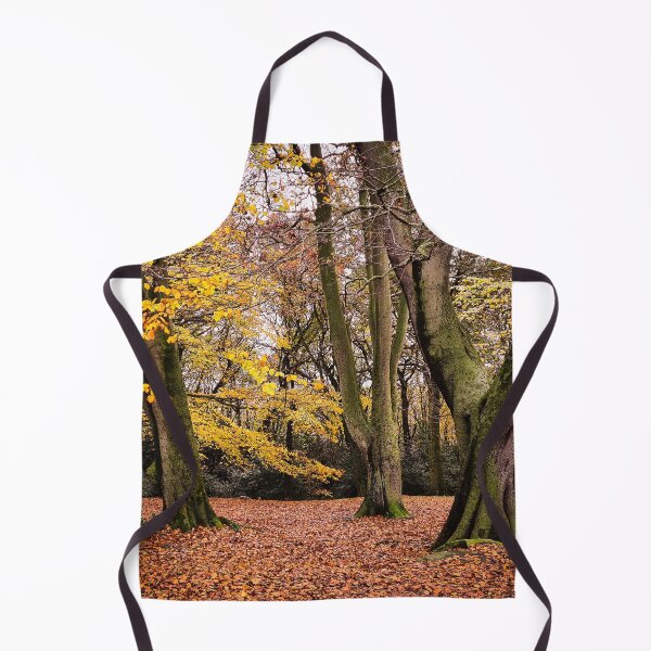 Artikelvorschau, Herbstwald entworfen und verkauft von Julie Wilkinson.