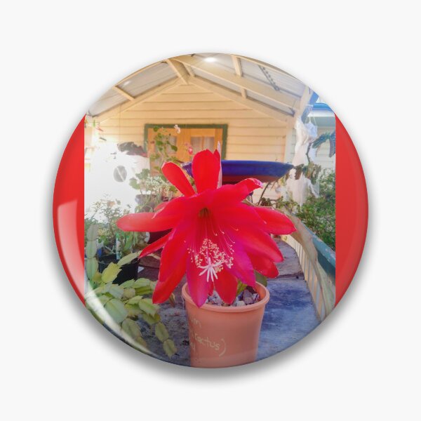Item preview, Orchid Cactus  designed and sold by kerrysart.