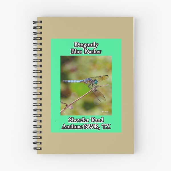 Item preview, Give Someone You Love A Dragonfly Kiss: Blue Dasher~The dragonfly is an important symbol representing change, rebirth, happiness, good luck, and financial gain as well as insight. designed and sold by MoreEZUSA-Here.