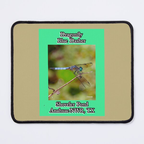 Item preview, Give Someone You Love A Dragonfly Kiss: Blue Dasher~The dragonfly is an important symbol representing change, rebirth, happiness, good luck, and financial gain as well as insight. designed and sold by MoreEZUSA-Here.