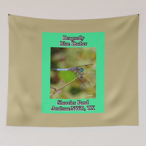 Item preview, Give Someone You Love A Dragonfly Kiss: Blue Dasher~The dragonfly is an important symbol representing change, rebirth, happiness, good luck, and financial gain as well as insight. designed and sold by MoreEZUSA-Here.