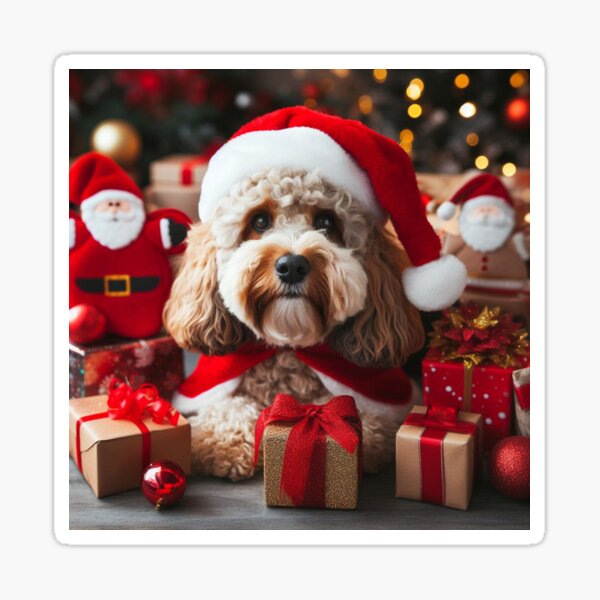 Cockapoo xmas hot sale jumper