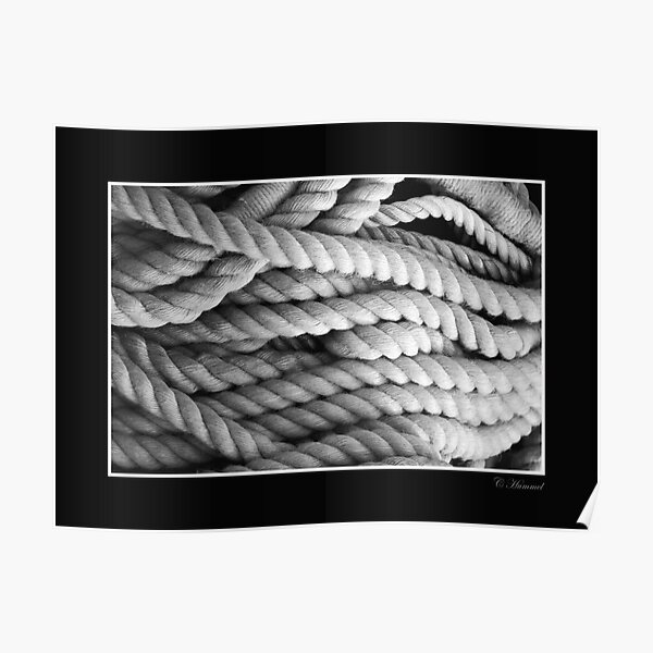 On The Ropes Poster