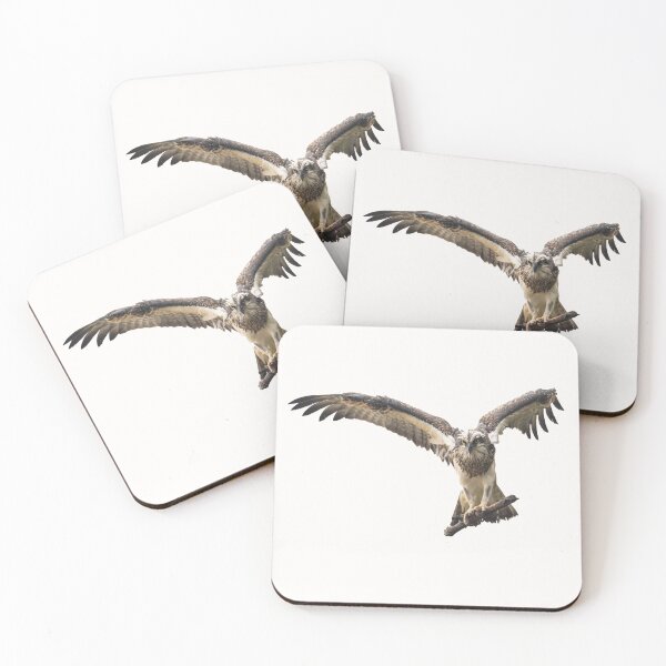 Item preview, Australian birds - Eastern osprey designed and sold by Ozjanette90.