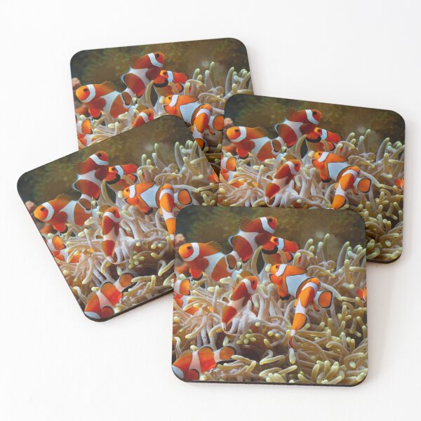 Item preview, Shoal of Anemone fish on coral reef designed and sold by TheRightHonMP.