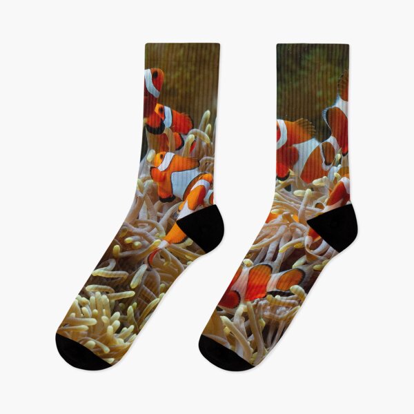 Item preview, Shoal of Anemone fish on coral reef designed and sold by TheRightHonMP.