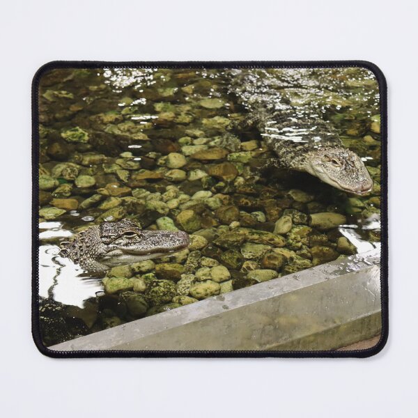 Item preview, sneaky snappers designed and sold by stuffolies.