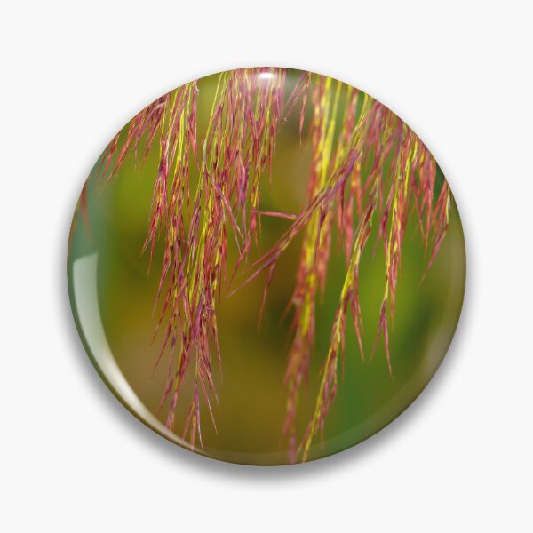 Item preview, Phragmites australis designed and sold by mylensflow.