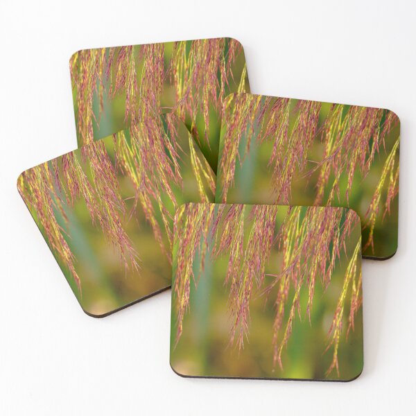 Item preview, Phragmites australis designed and sold by mylensflow.