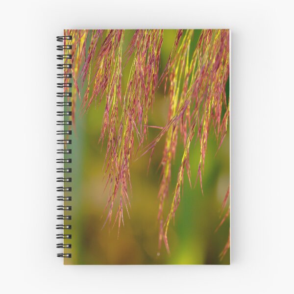 Item preview, Phragmites australis designed and sold by mylensflow.