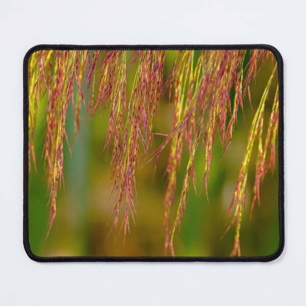 Item preview, Phragmites australis designed and sold by mylensflow.