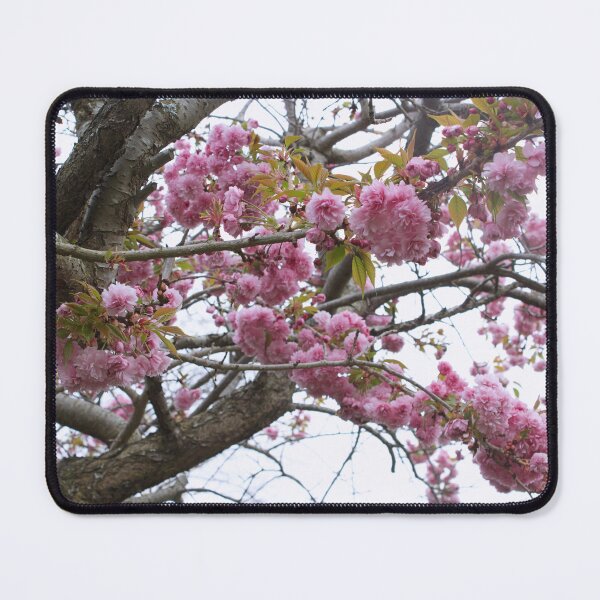 Item preview, Sakura designed and sold by Kim Chi Thai.