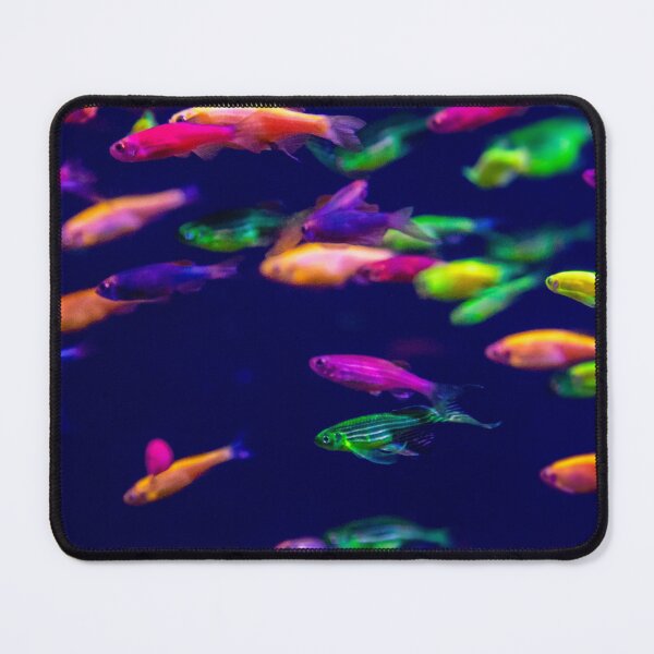 Item preview, Shoal of colorful fish in the sea designed and sold by TheRightHonMP.