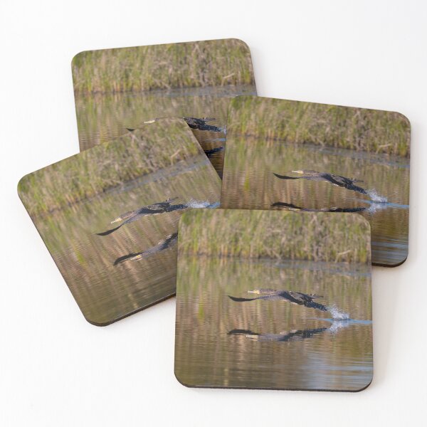 Item preview, Cormorant in flight over the lake. designed and sold by ART-SUNRISE.