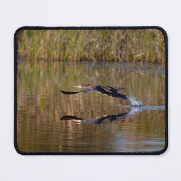 Item preview, Cormorant in flight over the lake. designed and sold by ART-SUNRISE.