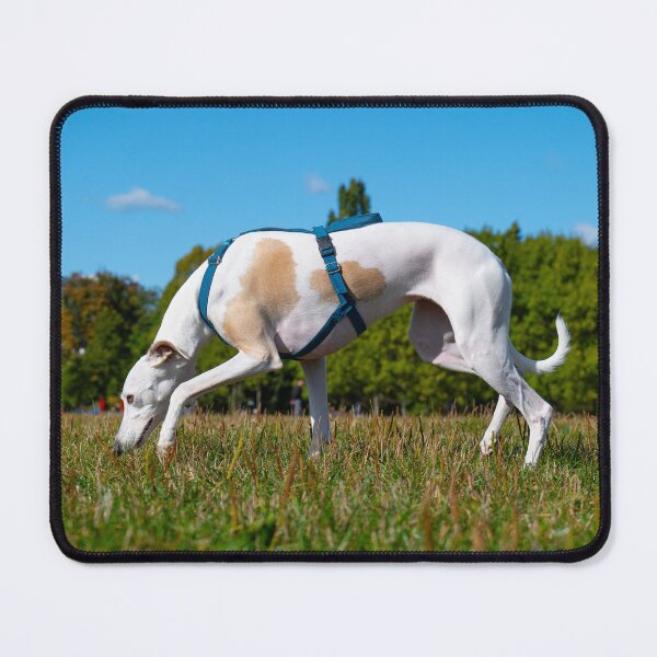 Item preview, Greyhound in a clearing designed and sold by ART-SUNRISE.
