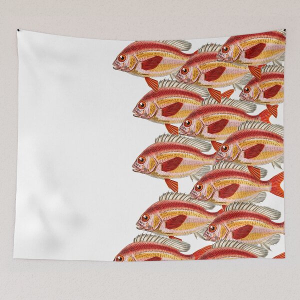 Item preview, Whitecheek monocle bream designed and sold by TheRightHonMP.