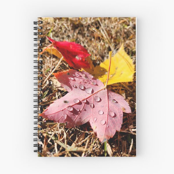 Aperçu de l'œuvre Rosée d'automne simple créée et vendue par OutJsWindow.