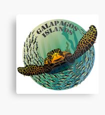 Sea turtle and fish Galapagos Islands Metal Print