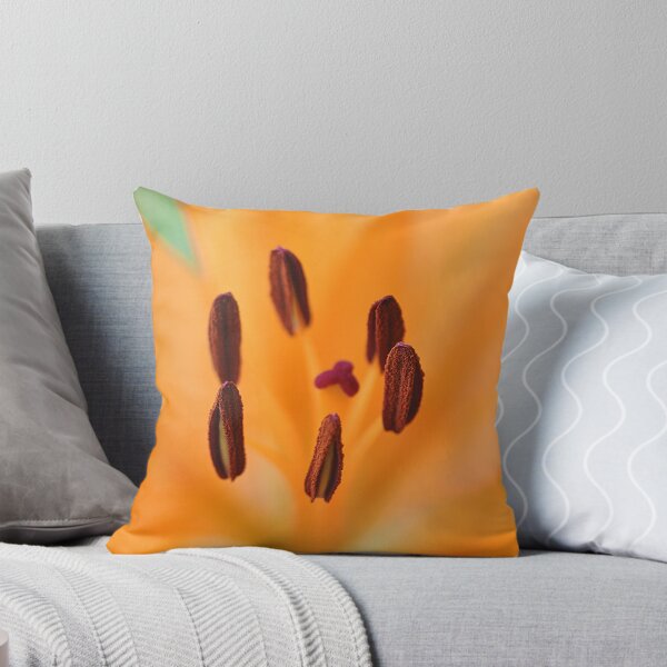 Artikelvorschau, Schöne Nahaufnahme der Mitte einer Orangenlilienblüte entworfen und verkauft von IPPhotography.