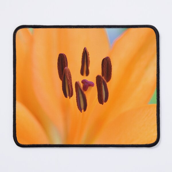 Item preview, Closeup of the center of a Fire Lily Flower designed and sold by IPPhotography.