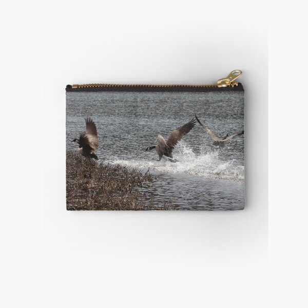Aperçu de l'œuvre Canard Duck GOOSE! créée et vendue par Melissa, Sue Ball.