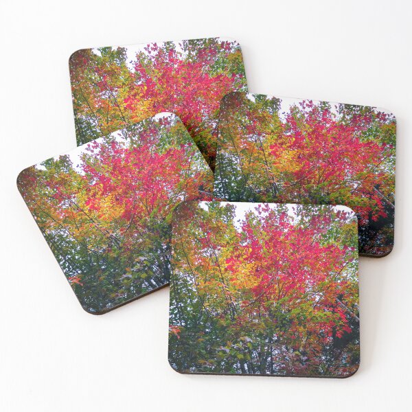 Item preview, Fall in New Hampshire designed and sold by DWillsArt.