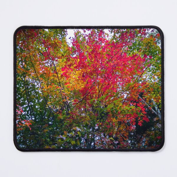 Item preview, Fall in New Hampshire designed and sold by DWillsArt.