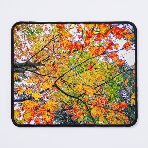 Item preview, Leaves of Fall designed and sold by DWillsArt.