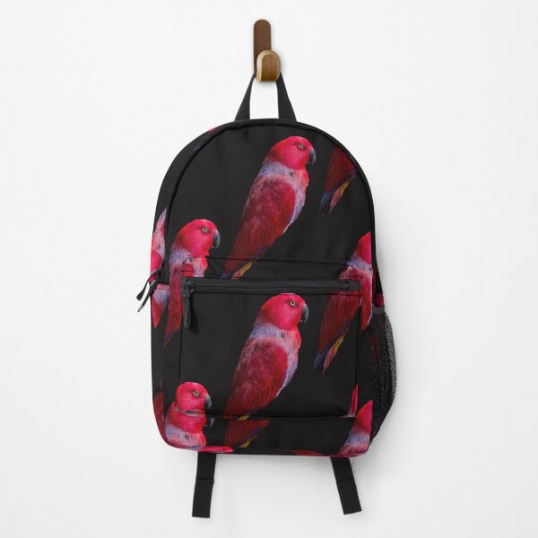 Item preview, Adorable Moluccan Eclectus designed and sold by katiebca2.