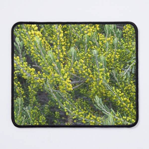 Item preview, Great Wave of Wattle Flowers designed and sold by Honey Myrtle Studio.