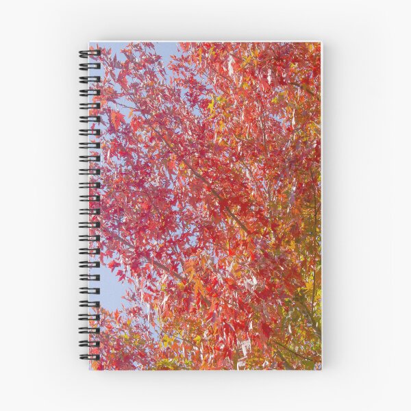Item preview, Brightly Colored Fall Tree designed and sold by Victoria Rose.