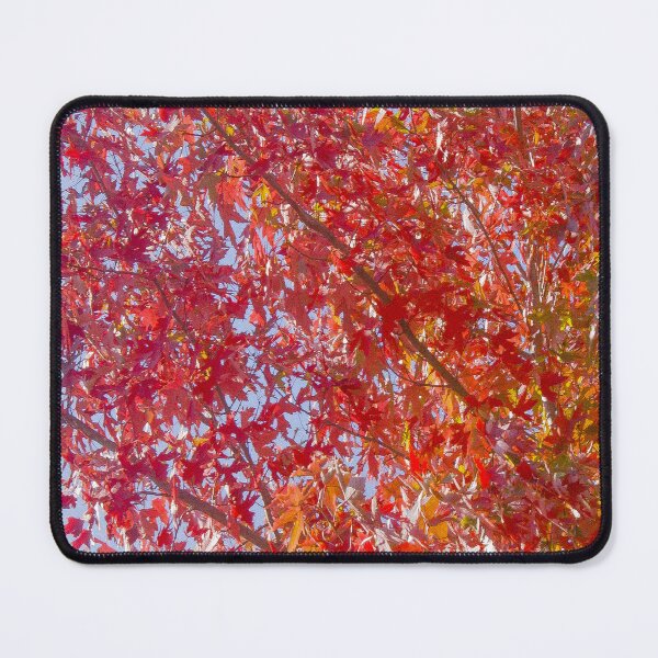 Item preview, Brightly Colored Fall Tree designed and sold by Victoria Rose.