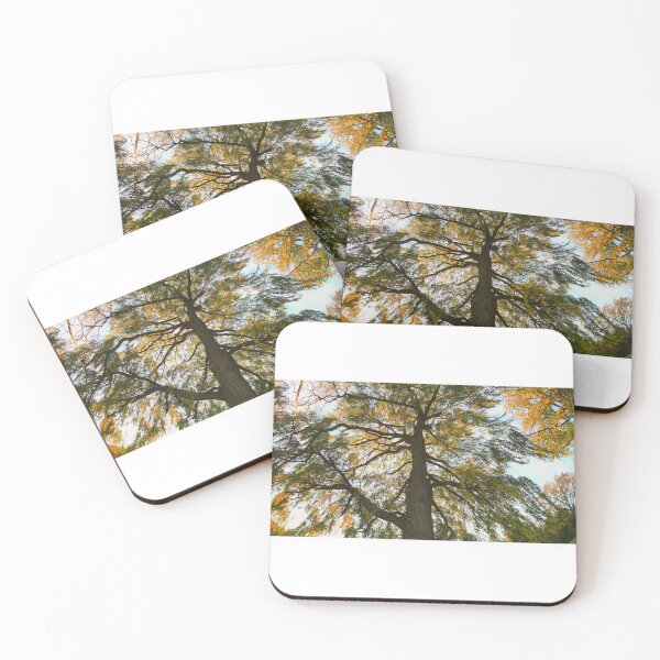 Item preview, One Gorgeous Tall Tree  designed and sold by fototaker Tony.