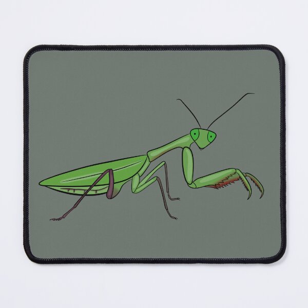 Item preview, Male Giant Rainforest Mantis designed and sold by MantisOddities.