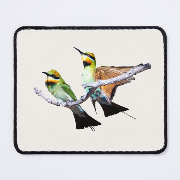 Item preview, Australian birds - rainbow bee-eaters designed and sold by Ozjanette90.