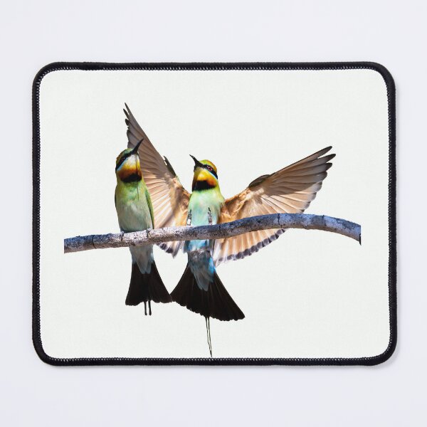Item preview, Australian birds - rainbow bee-eater designed and sold by Ozjanette90.